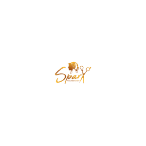 Home 48 sparx_Salon